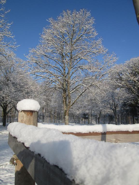 Camping De Masevaux Exteriör bild