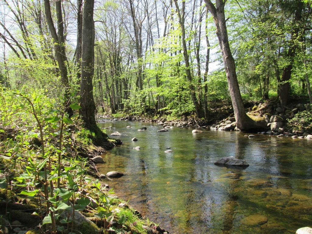 Camping De Masevaux Exteriör bild